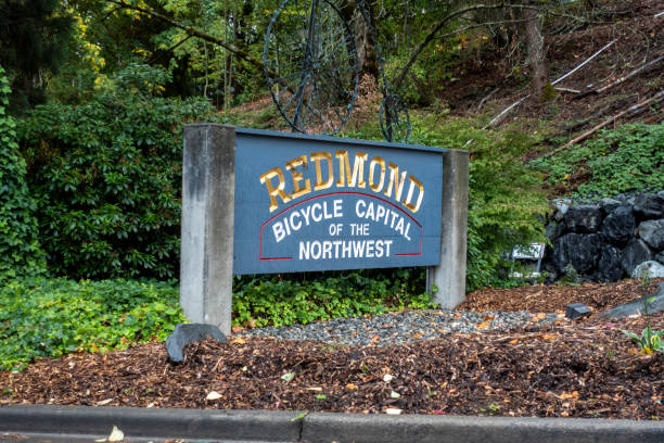 Redmond, Sammamish, Issaquah & Kirkland College Admissions Consultants